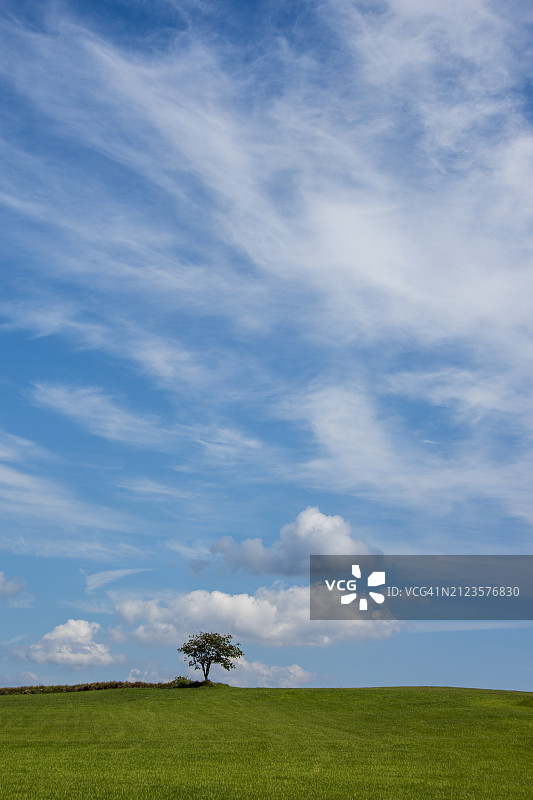 天空衬托下的田野风景图片素材