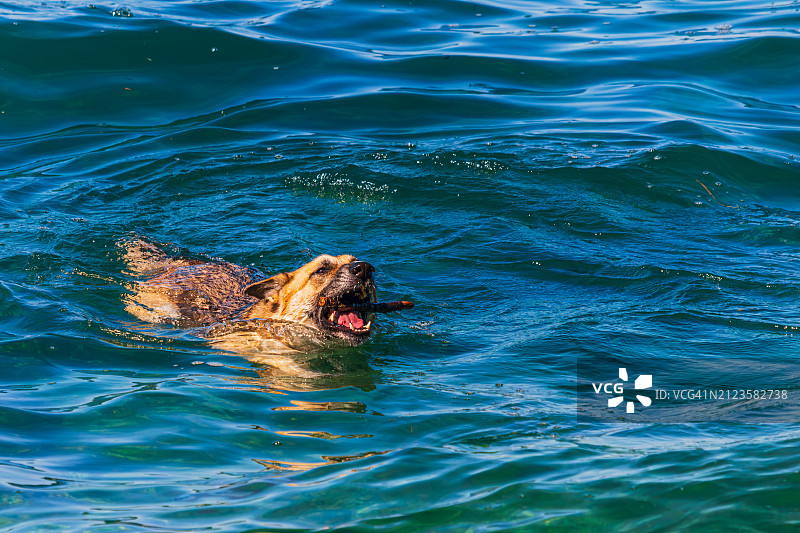 海上混合泳高角度视图图片素材