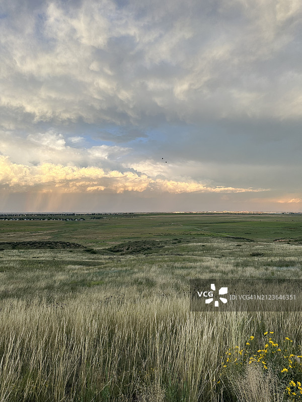 美国科罗拉多州柯林斯堡日落田野景色图片素材