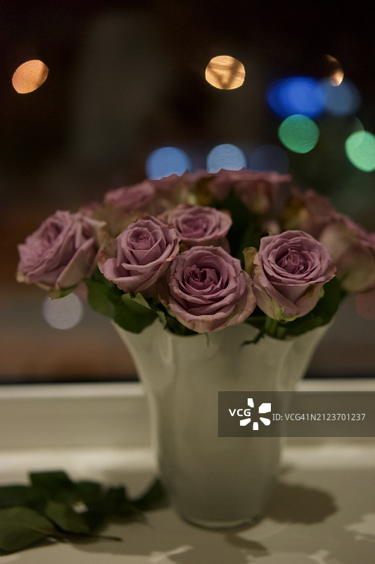 花瓶中粉色玫瑰的特写，俄罗斯图片素材