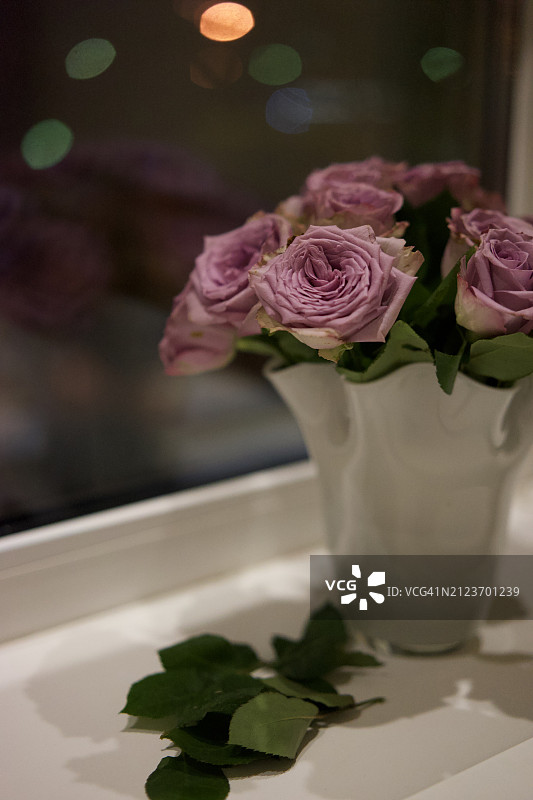 花瓶中粉色玫瑰的特写，俄罗斯图片素材