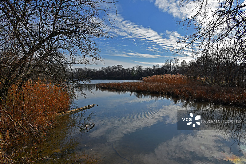 美国马里兰州邓多克秋季湖景图片素材