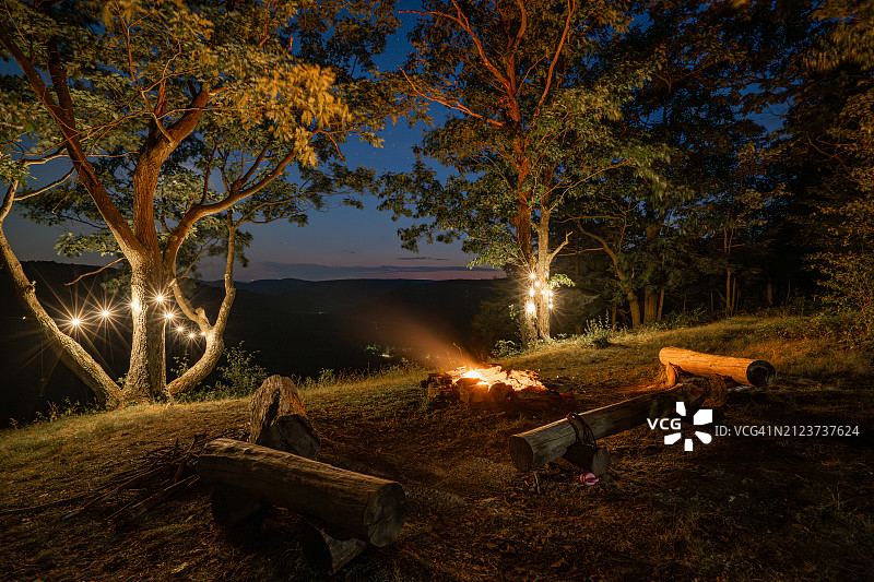 夜晚田野上的树木（美国宾夕法尼亚州什鲁斯伯里）图片素材