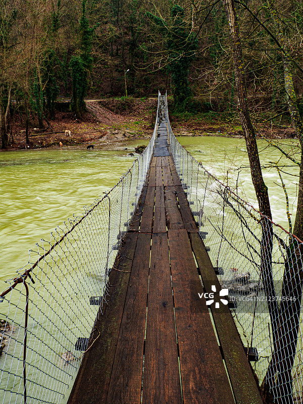 森林中树木中河流的美景图片素材