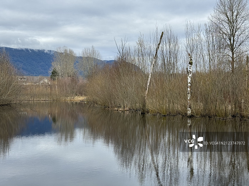 加拿大不列颠哥伦比亚省高贵林港的湖泊风景图片素材