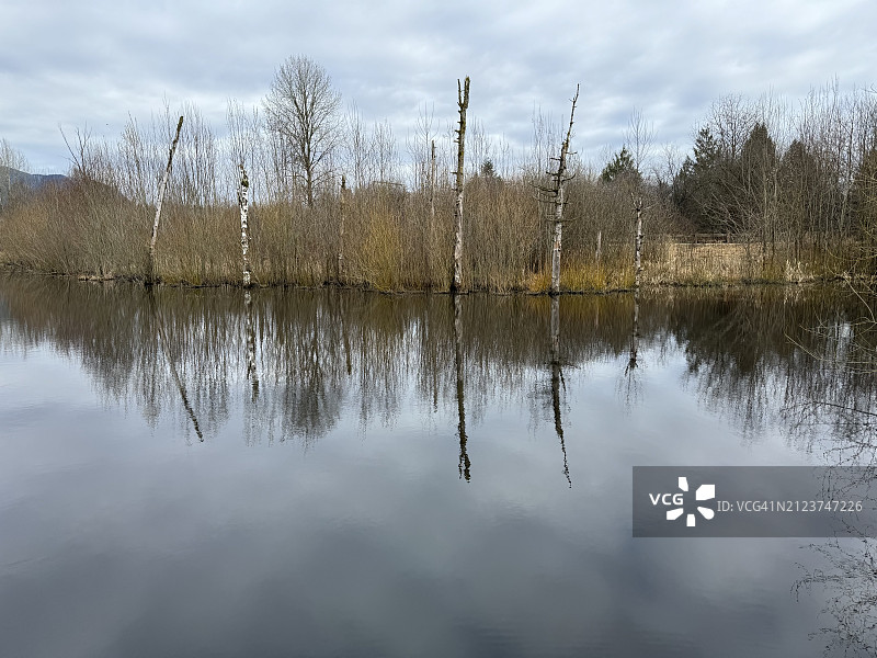 加拿大不列颠哥伦比亚省高贵林港的湖泊风景图片素材