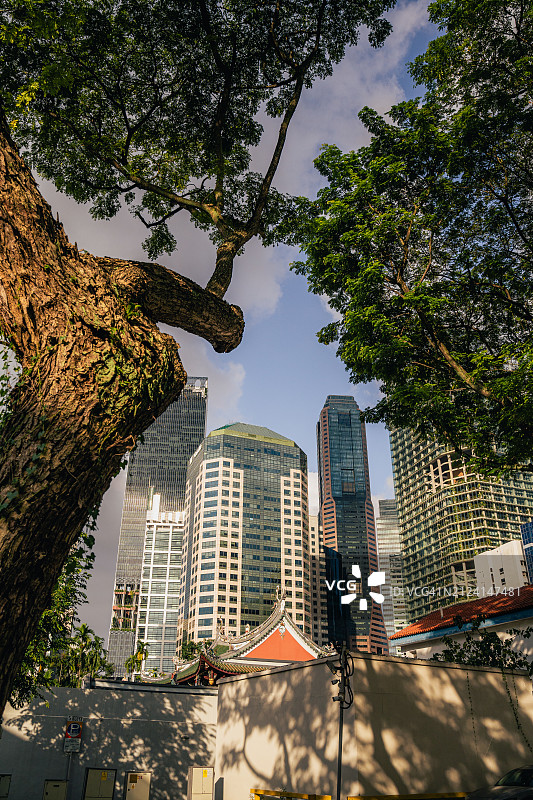 自然与混凝土图片素材