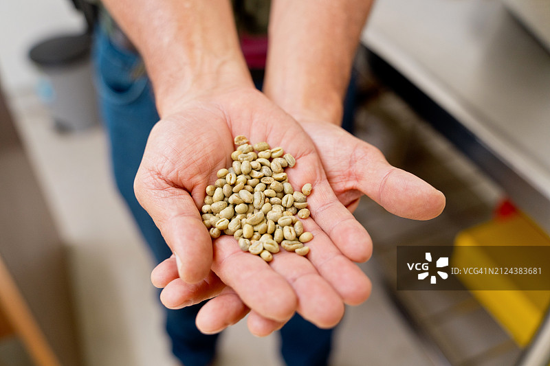 咖啡农筛选咖啡豆的手部特写图片素材