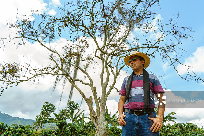站在老树前的西班牙裔咖啡农图片素材