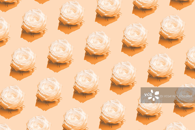 白色玫瑰花背景图案图片素材