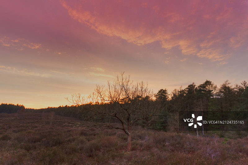 格罗瑙韦荒地日落景观图片素材
