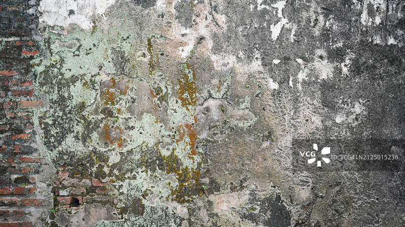 带有藻类苔藓的锈迹斑斑的水泥墙图片素材