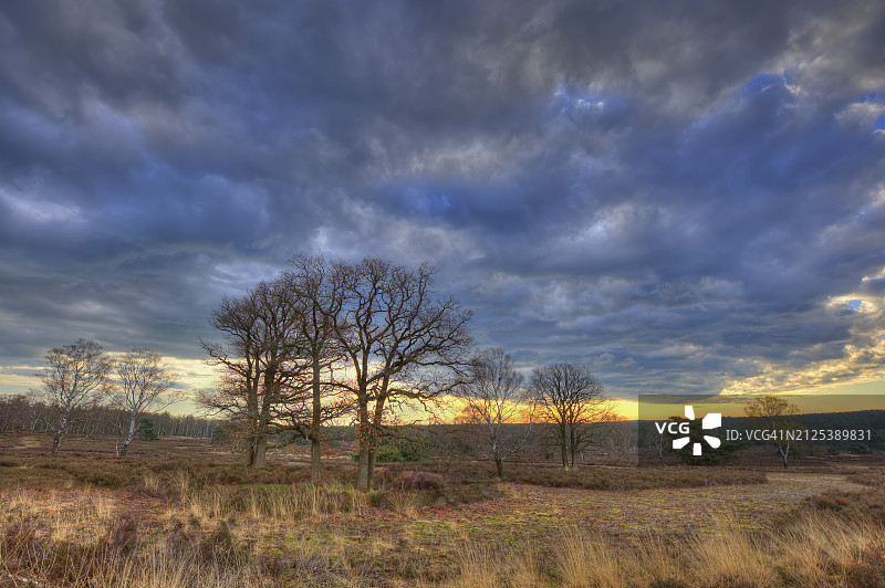 费吕沃 Posbank 附近的 Zilvense Heide 日出图片素材