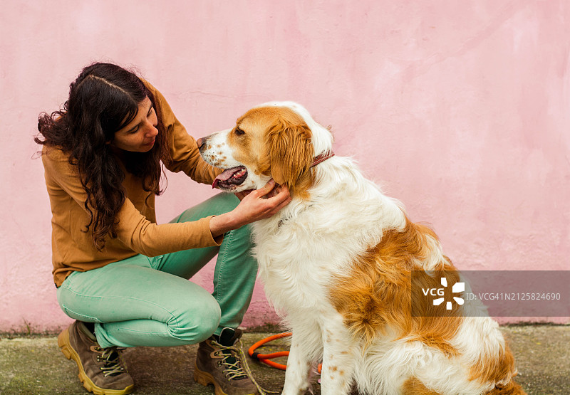 女人给她的狗戴上项圈图片素材