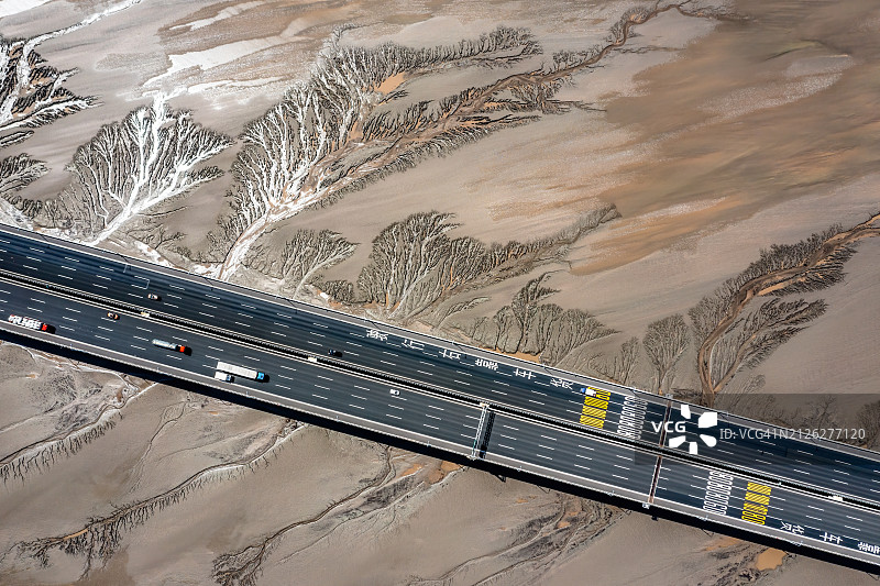 退潮后，沙滩上树状纹理图片素材