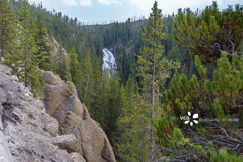 怀俄明州黄石国家公园吉本河茂密松树林峡谷中的弗吉尼亚瀑布图片素材
