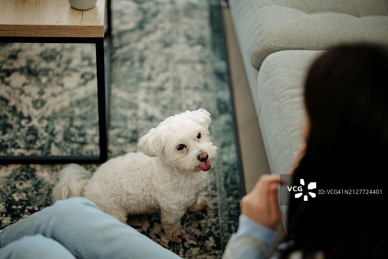 女子在家与她的狗放松身心图片素材