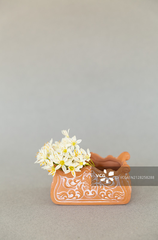 灰色背景上的小蒜花和赤陶容器图片素材