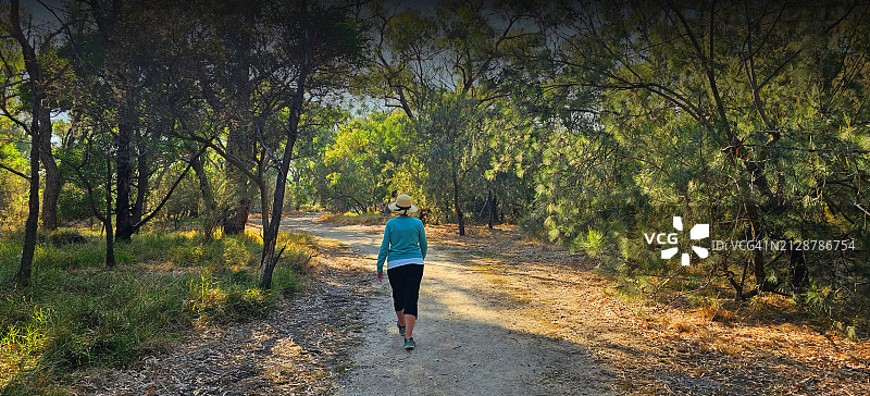 在澳大利亚维多利亚州布雷赛德地区公园的丛林徒步者图片素材
