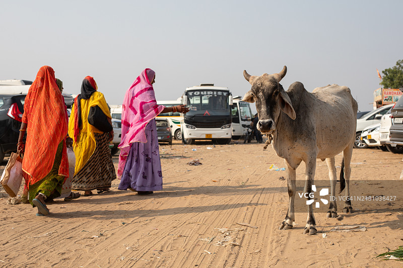 普什卡的沙漠停车场图片素材