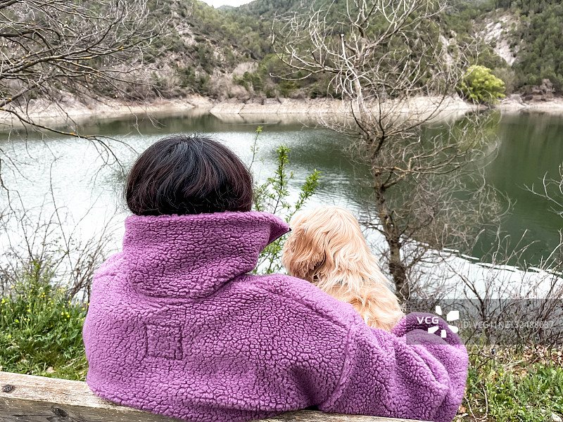 女人在长凳上照看拉布拉多贵宾犬图片素材