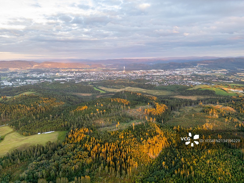 黄昏时分森林与城市交汇处的特写图片素材