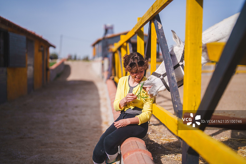 有饲养员的马图片素材