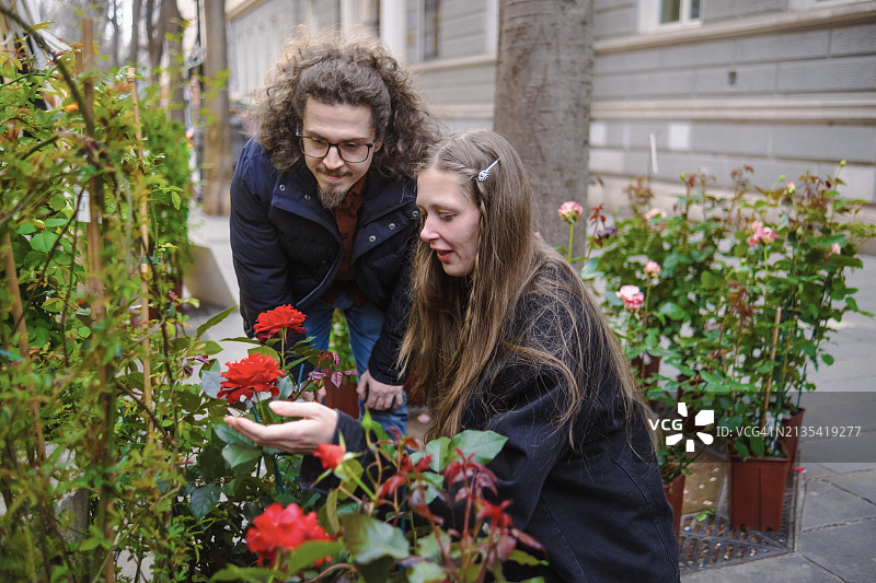 我们绝对应该购买这些红玫瑰图片素材