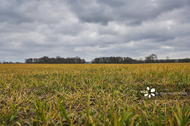 使用除草剂处理的田地图片素材
