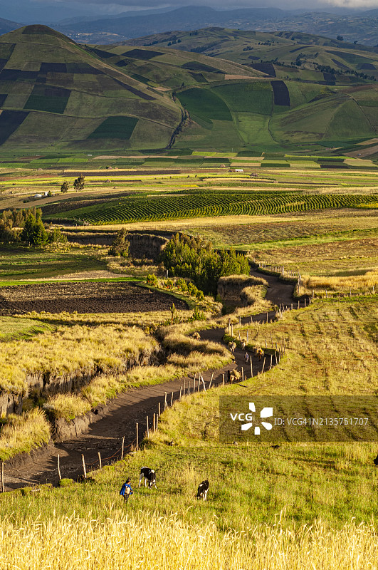 厄瓜多尔钦博拉索火山坡上的乡村公路图片素材