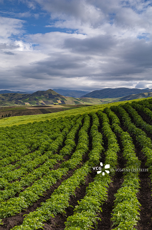 厄瓜多尔钦博拉索火山周边景观图片素材