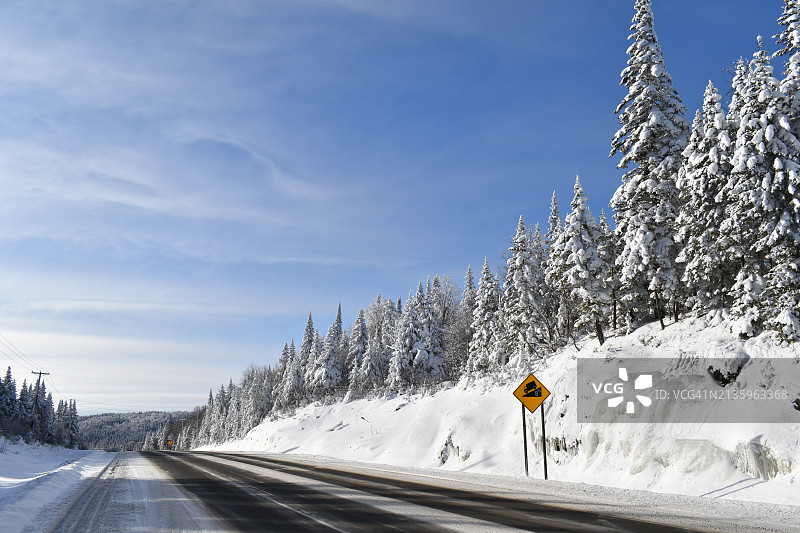 苍穹映衬下，林中空旷的道路图片素材