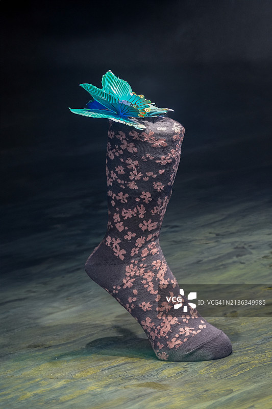 蝴蝶配饰花卉袜子图片素材