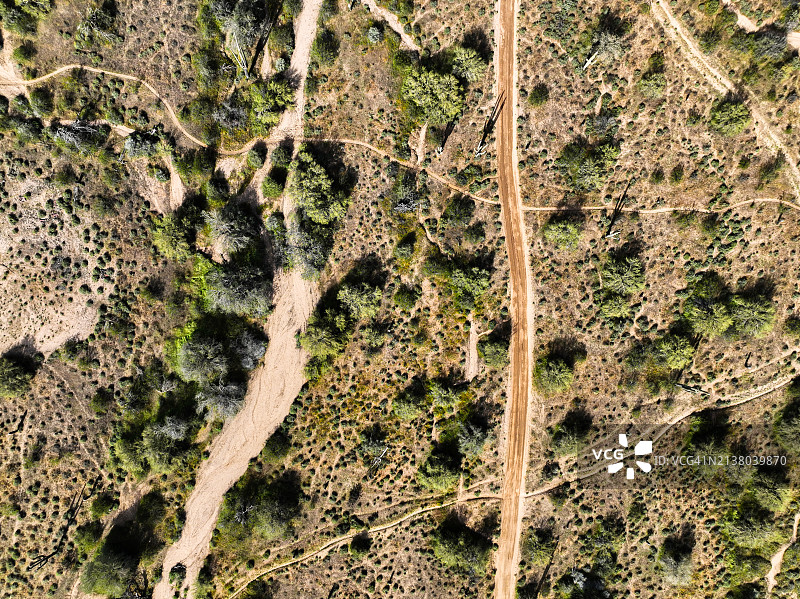 仙人掌沙漠公路鸟瞰图图片素材