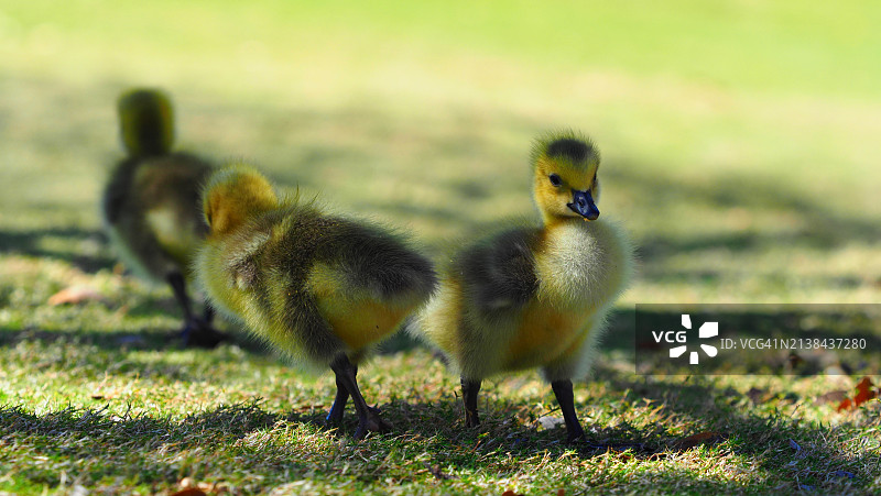 我们分道扬镳图片素材