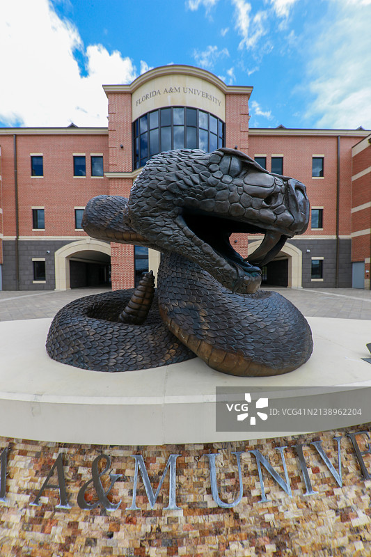 佛罗里达农工大学校园内的响尾蛇雕塑图片素材