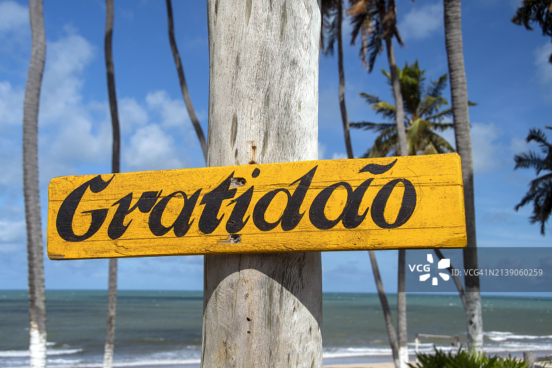 宗比海滩，巴西北里奥格兰德州里奥杜福戈图片素材