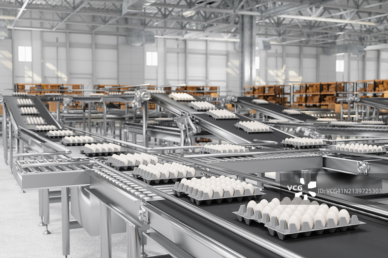 鸡蛋工厂生产线上鸡蛋包装的特写镜头图片素材