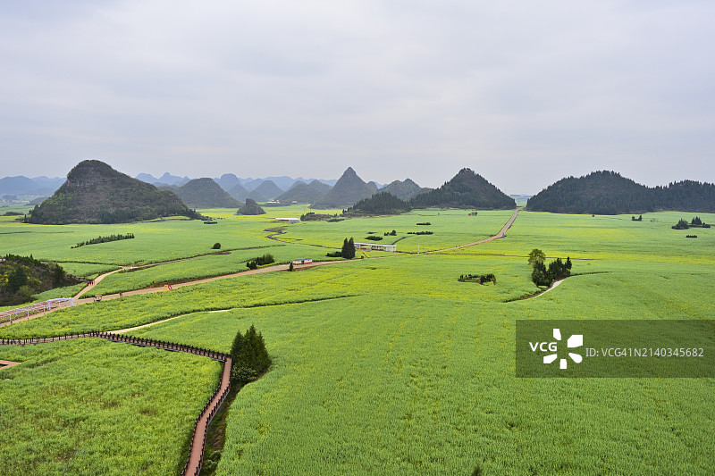 喀斯特峰林油菜花田图片素材