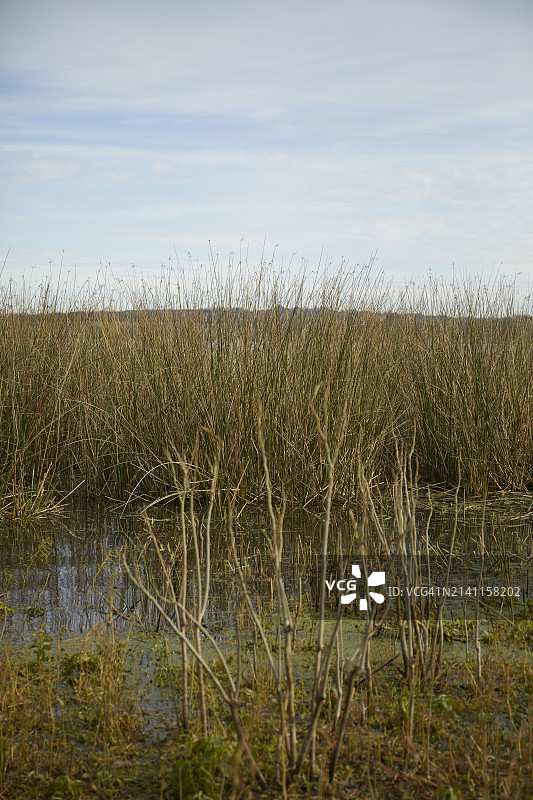 泻湖景观3图片素材