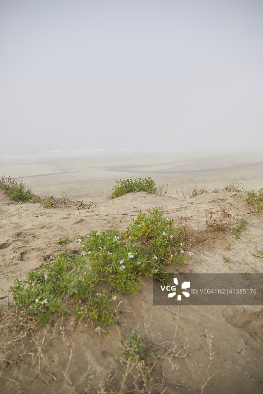 多云海滩图片素材