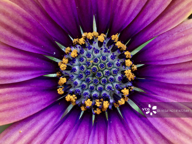 光彩照人图片素材