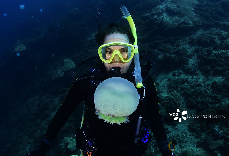 炮弹水母和潜水员图片素材
