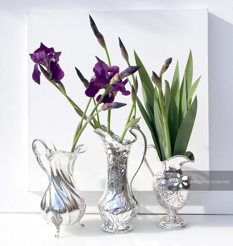 花瓶与鲜花特写，美国图片素材