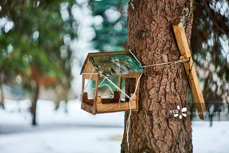 树上的鸟舍特写图片素材