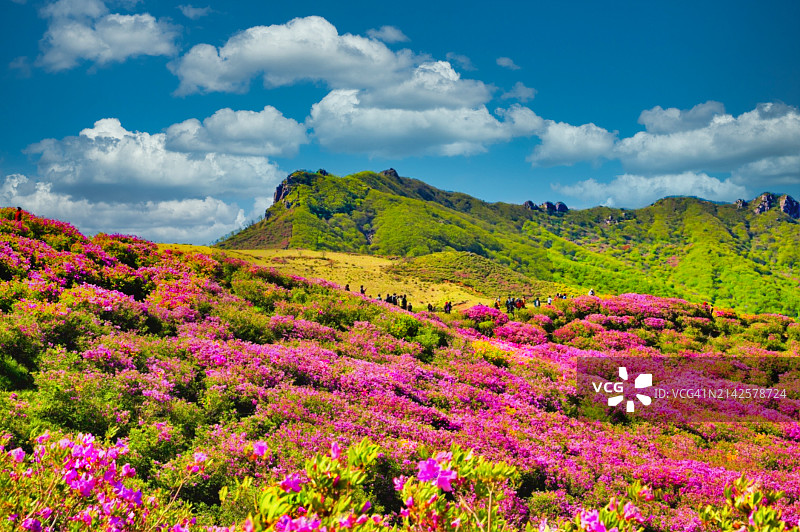 黄梅山之春图片素材