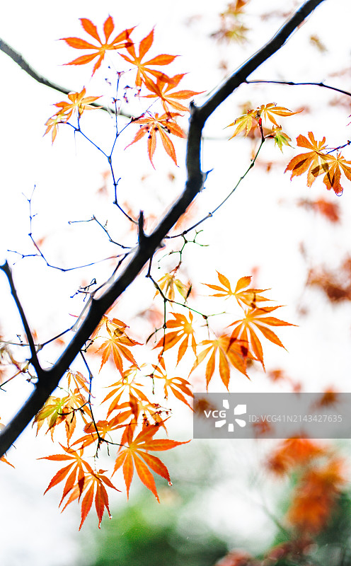 杭州富阳天钟山图片素材