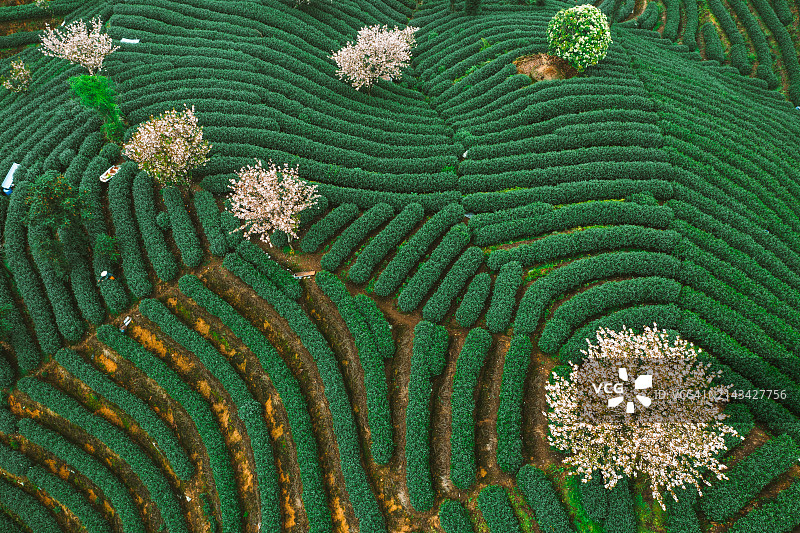 杭州富阳天钟山图片素材