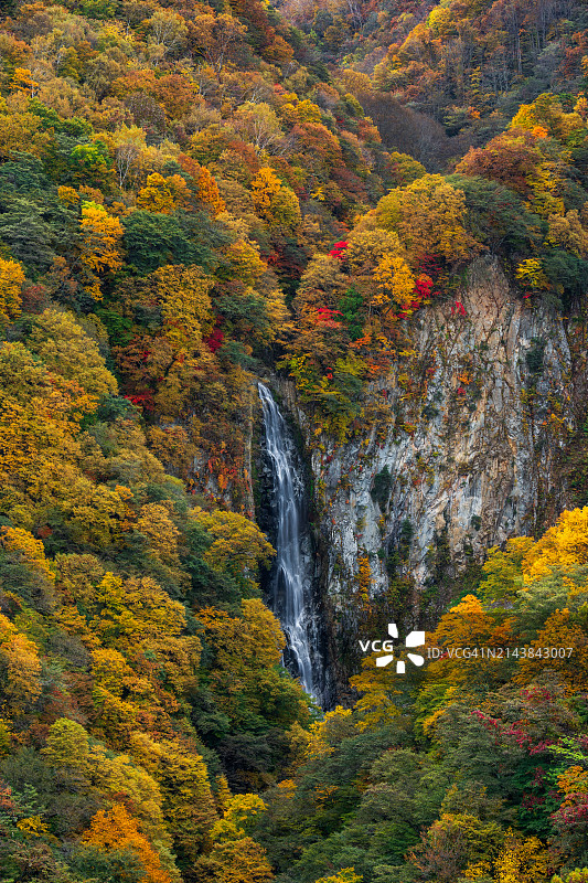 志贺高原的釜满瀑布的优美风光，长野县图片素材