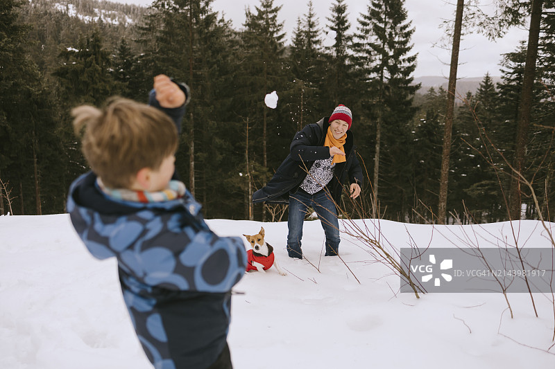 父子在冬季森林里与狗玩雪球图片素材